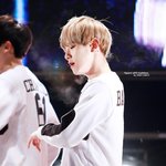 [EXO] 13콘 15구역 200번대 vs 14콘 29구역 2번째줄
