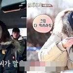 이서진이 반했다는 최지우의 매력