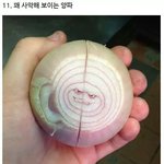 [EXO] 야 그냥 싸인해달라해