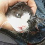 [<b>심</b><b>쿵</b>] 헐 개 잘생김