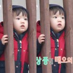 [EXO] 콘서트에서머리풀면<b>안</b><b>댐</b>??