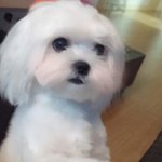 [EXO] 우리<b>집강</b>아짘ㅋㅋㅋ