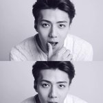 [EXO] 너넨 강아지들 <b>분양</b>어디서받음?알려줭