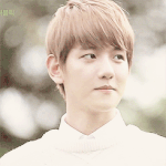 [EXO] 돈<b>낭비</b>하려고 백현이 좋아하는게 아닌데