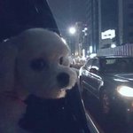 [EXO] 타오여친ㅇㅇ 그리고엑소후리고다니는애