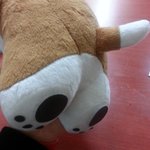 [EXO] 와나대박이다ㅋㅋㅋㅋㅋㅋㅋㅋㅋㅋㅋㅋ