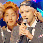 [exo] 세후니는 혀니 옆에 <b>서지마</b>랑