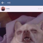 [EXO] 너네 배우 최<b>woo</b>쉭 님 앎??