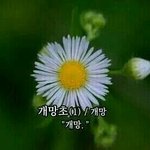 [EXO] 저 1부터 9까지글 <b>아무것</b>도아닐텐데