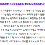 내일 <b>세배</b>할 때... 무릎에서 소리 나면 안되는데 ㅠ