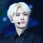 [EXO] 수호와 준면이의 <b>갭</b>은