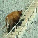 <b>정현</b>인지뭔지 찾는얘