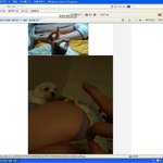 *일베<b>충주</b>의보* 다들 조심하세요