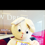 (혐주의)토끼인간 <b>사육</b>하는 20대 여자들