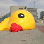 [댓글부탁해] 봄에 코트<b>입지</b>?