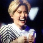 [EXO] 애들아 걍 톡선,엔터톡 다무시해