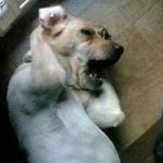 [EXO] 얘들아 추반 좀 ㅋㅋㅋㅋㅋㅋㅋ 내 인생 최대 고민