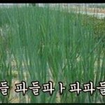 [EXO] 너네판하면서아이디몇번<b>정지</b>당해봤냐