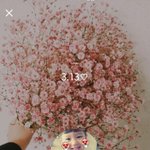 [EXO] 어제 내가 티켓 양도를 했는데 조눗