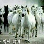 [EXO] 근데좇<b>목질</b>보다는견제당하는게남ㅋㅋ