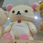 [EXO] 광주 영풍문고에서 본 인형