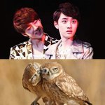 [EXO] 오세훈 <b>호러</b>물 함 찍어줘