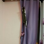 [쁘니단비] 쁘니단비의 위~아래~<b>위위</b> 아래