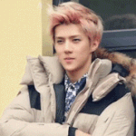 [EXO] 뉴트톡 고닉 모집 