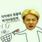 [EXO] 영어로딴지걸시간에<b>국어</b>나배우러가라병신들아