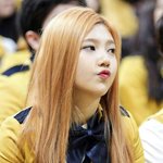 [EXO] 타돌)<b>red</b>비단 염색 기사사진보고