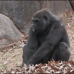 [EXO] 방금 12키로뺐다는애 대단 