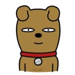 [EXO] 야 나 눈팅하다 이제야 이해함