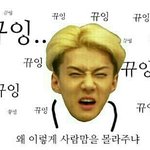 [EXO] 추반좀 진지함