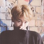[EXO] 첸시<b>코기</b> 사는사람?