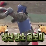 [에이핑크] 진짜사나이 윤보미