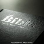 다윗의 <b>뿌리</b> 재림그리스도 안상홍님