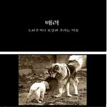안락사 <b>직전</b> 자신의 밥을 나눠주는 말라뮤트 장군이..