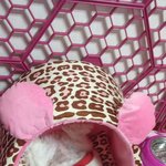 쪼~~꼬매서 꼬미라 불리는 우리 강아지 두번째