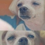 [EXO] <b>오타로</b> 맞춤법 틀렸을때 지적받으면