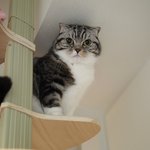 [유봉이네] 돌아온 유봉이네