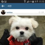 [EXO] 얘들아 나징차 궁금해 <b>캔디</b> 칸디 ..