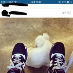 [EXO] 쟤 <b>간디</b>임 올린사람이 간디라고함