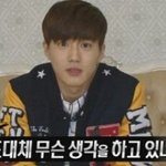 [EXO] 지금 매니저 인스타에 강아지