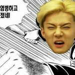 [EXO] 나 루둘기 나갔을때