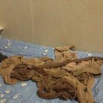 스타킹에 파묻혀 <b>질식사</b> 하고 싶다고~~~~