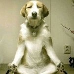 [EXO] 네다<b>뉴네</b>다<b>뉴네</b>다<b>뉴네</b>다<b>뉴네</b>다뉴