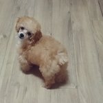 털색이 특별한 <b>쭈쭈</b>를 소개합니다!!