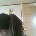 [댓글부탁] 머리좀살려주세요