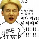 [exo] 동생년처치방법좀ㅠㅠ