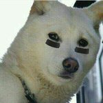 [EXO] 너네는 <b>슈</b>7<b>스</b>엠 카드테마 질리면